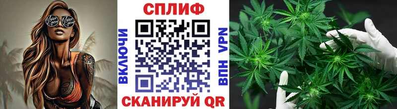 Наркошоп купить ГАШ  Cocaine  Alpha-PVP  Амфетамин  Меф мяу мяу  Конопля  Зерноград