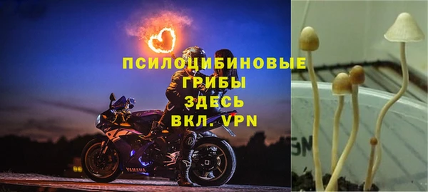 a pvp Зеленокумск